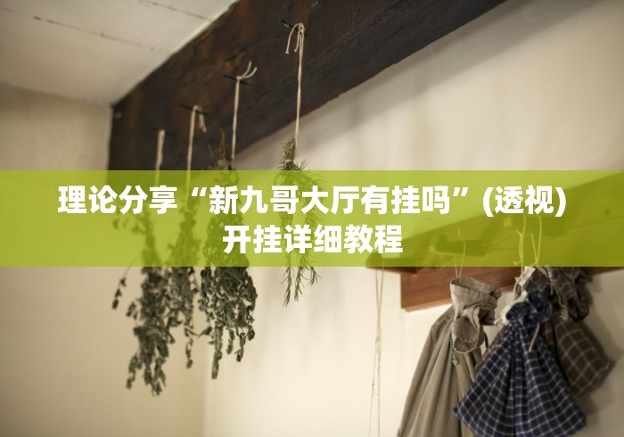 理论分享“新九哥大厅有挂吗”(透视)开挂详细教程