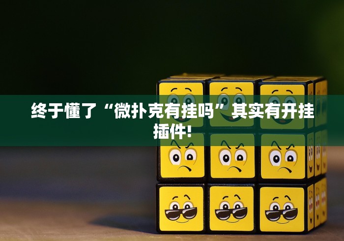 终于懂了“微扑克有挂吗”其实有开挂插件!