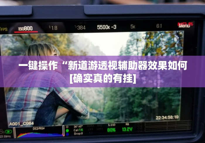 一键操作“新道游透视辅助器效果如何[确实真的有挂]