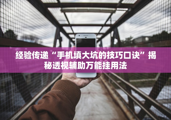 经验传递“手机填大坑的技巧口诀”揭秘透视辅助万能挂用法
