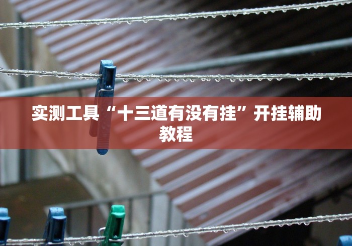 实测工具“十三道有没有挂”开挂辅助教程