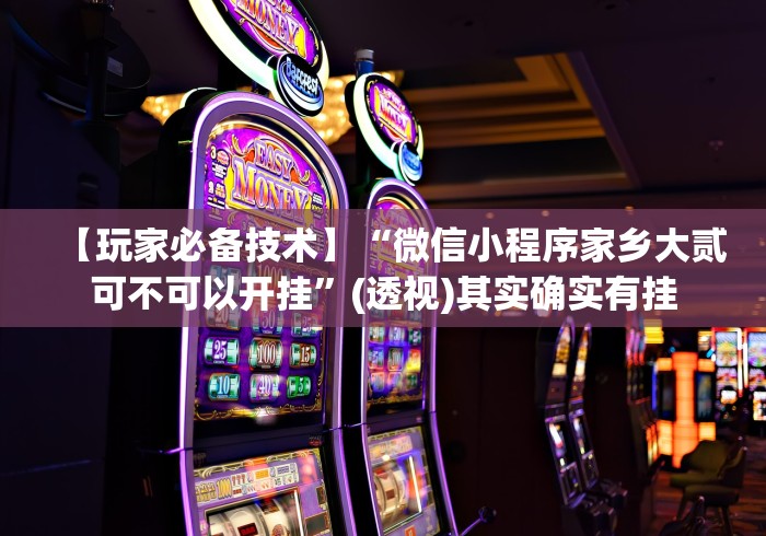 【玩家必备技术】“微信小程序家乡大贰可不可以开挂”(透视)其实确实有挂