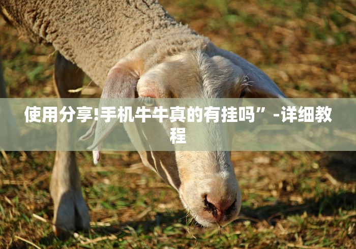 使用分享!手机牛牛真的有挂吗”-详细教程