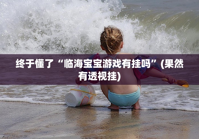 终于懂了“临海宝宝游戏有挂吗”(果然有透视挂)