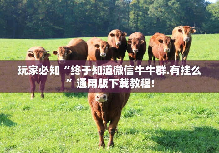 玩家必知“终于知道微信牛牛群.有挂么”通用版下载教程!