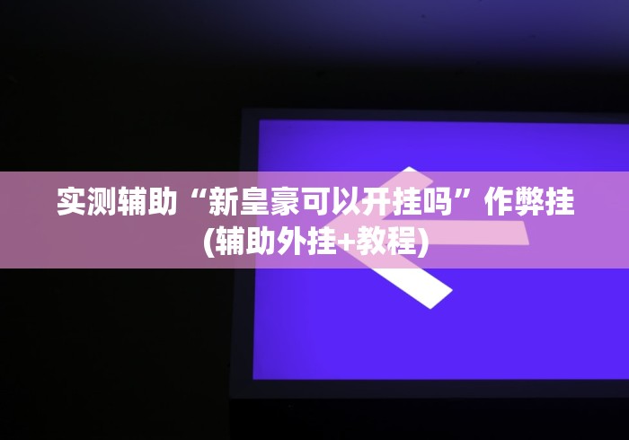 实测辅助“新皇豪可以开挂吗	”作弊挂(辅助外挂+教程)