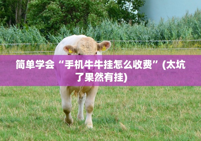 简单学会“手机牛牛挂怎么收费”(太坑了果然有挂)