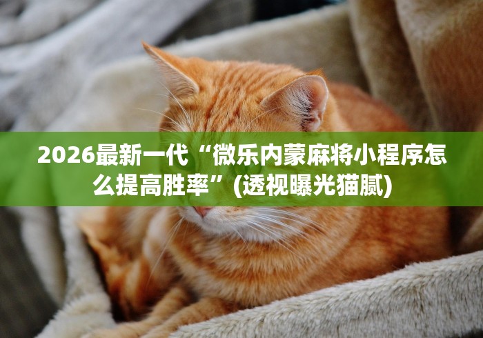 2026最新一代“微乐内蒙麻将小程序怎么提高胜率”(透视曝光猫腻)