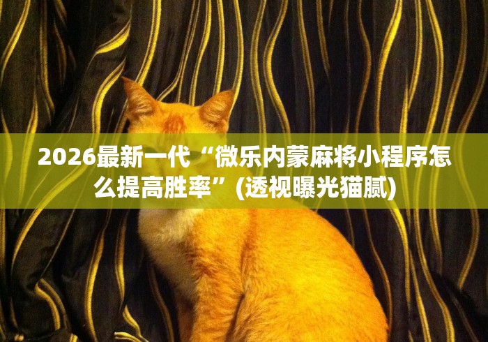2026最新一代“微乐内蒙麻将小程序怎么提高胜率”(透视曝光猫腻)