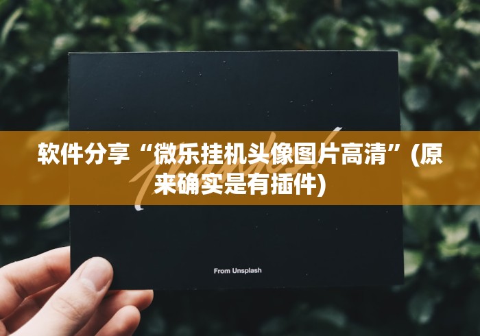 软件分享“微乐挂机头像图片高清”(原来确实是有插件)