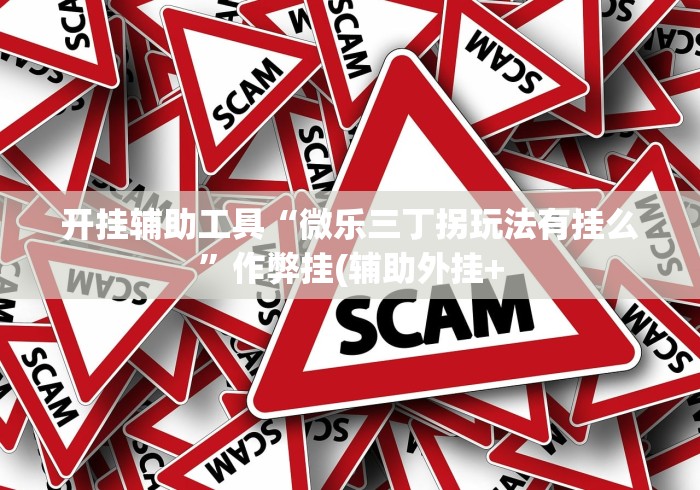 开挂辅助工具“微乐三丁拐玩法有挂么”作弊挂(辅助外挂+