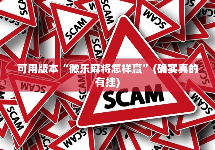 可用版本“微乐麻将怎样赢”(确实真的有挂)