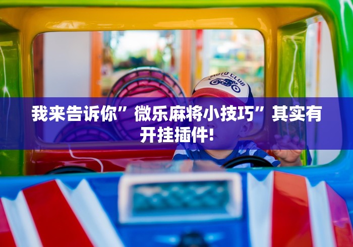 我来告诉你”微乐麻将小技巧	”其实有开挂插件!
