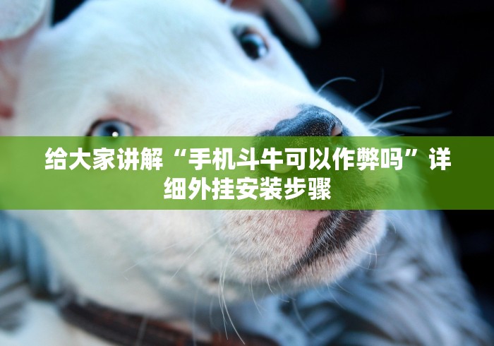 给大家讲解“手机斗牛可以作弊吗”详细外挂安装步骤