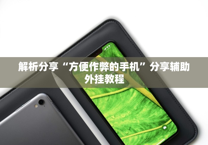 解析分享“方便作弊的手机”分享辅助外挂教程