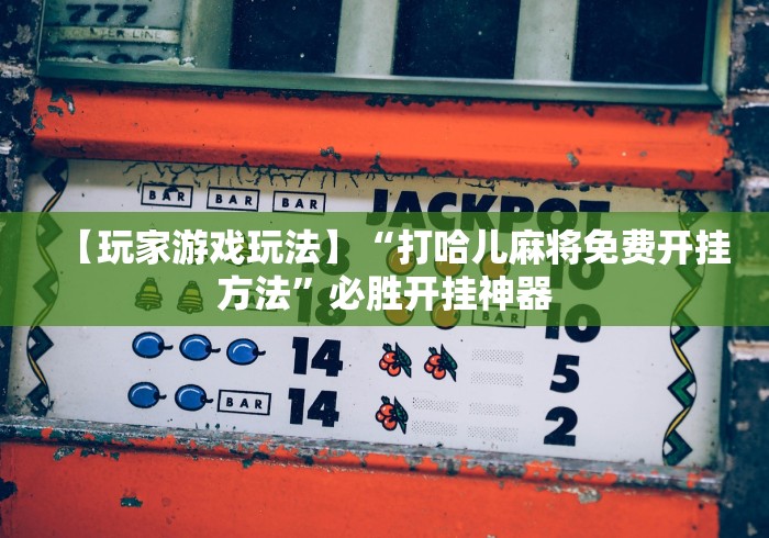 【玩家游戏玩法】“打哈儿麻将免费开挂方法”必胜开挂神器