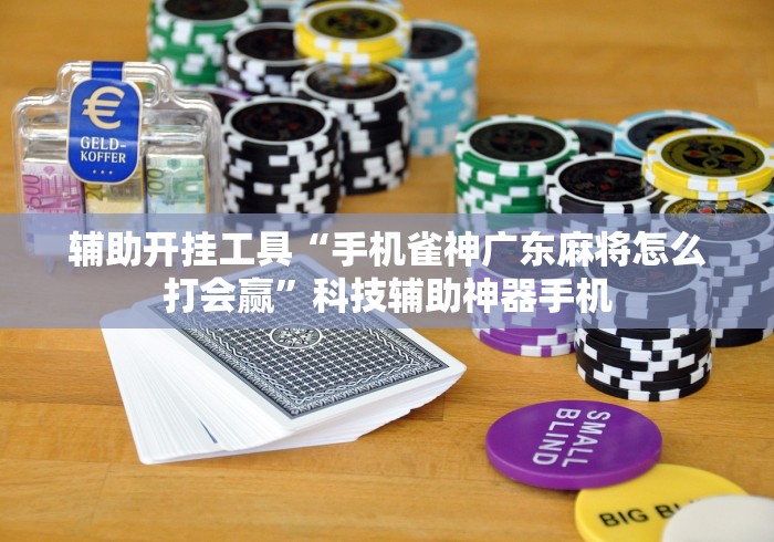 辅助开挂工具“手机雀神广东麻将怎么打会赢”科技辅助神器手机