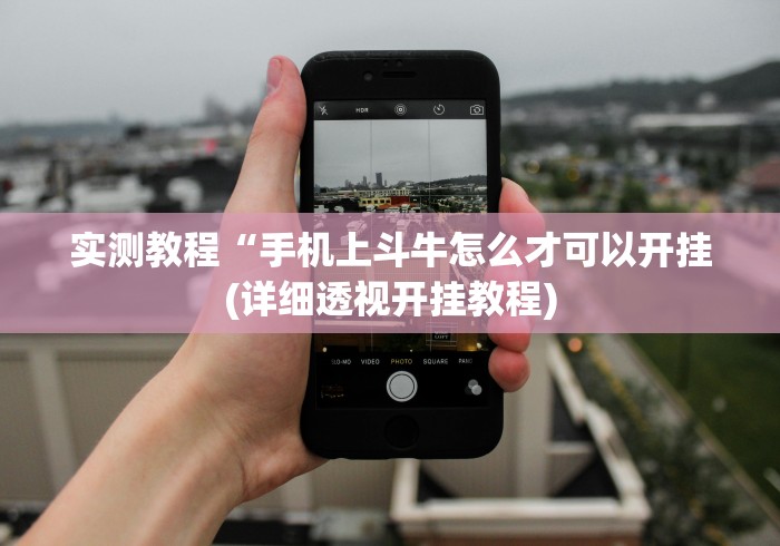 实测教程“手机上斗牛怎么才可以开挂(详细透视开挂教程)
