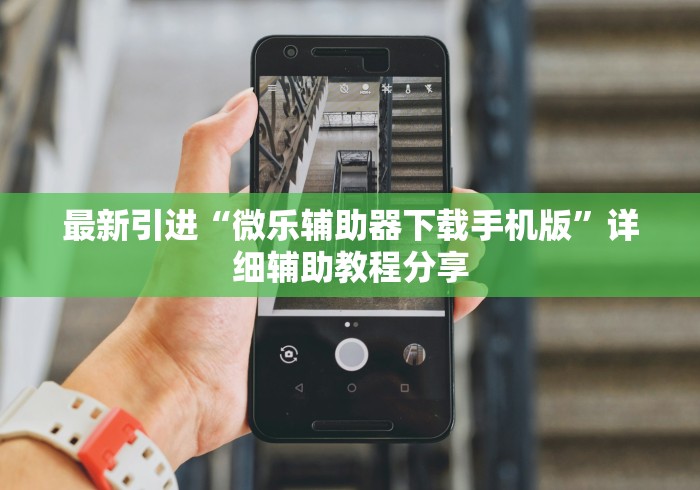 最新引进“微乐辅助器下载手机版”详细辅助教程分享