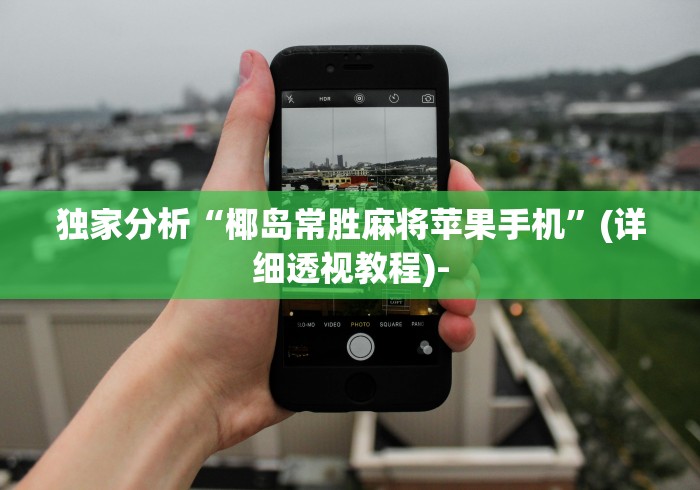 独家分析“椰岛常胜麻将苹果手机”(详细透视教程)-