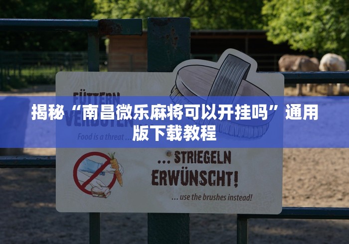揭秘“南昌微乐麻将可以开挂吗”通用版下载教程