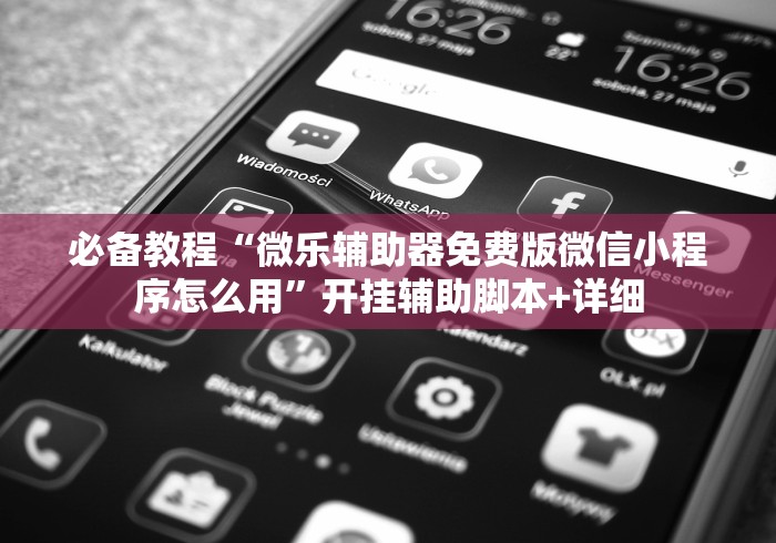 必备教程“微乐辅助器免费版微信小程序怎么用	”开挂辅助脚本+详细