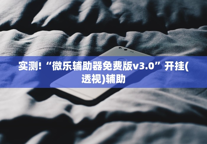 实测!“微乐辅助器免费版v3.0”开挂(透视)辅助