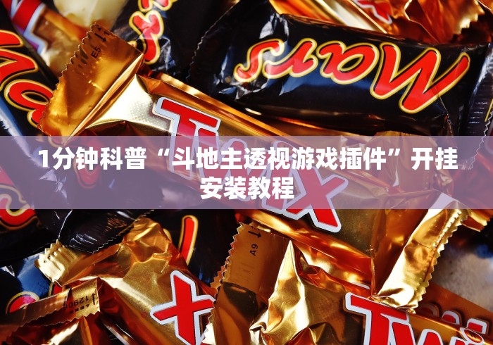 1分钟科普“斗地主透视游戏插件”开挂安装教程