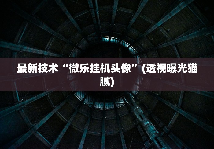 最新技术“微乐挂机头像”(透视曝光猫腻)