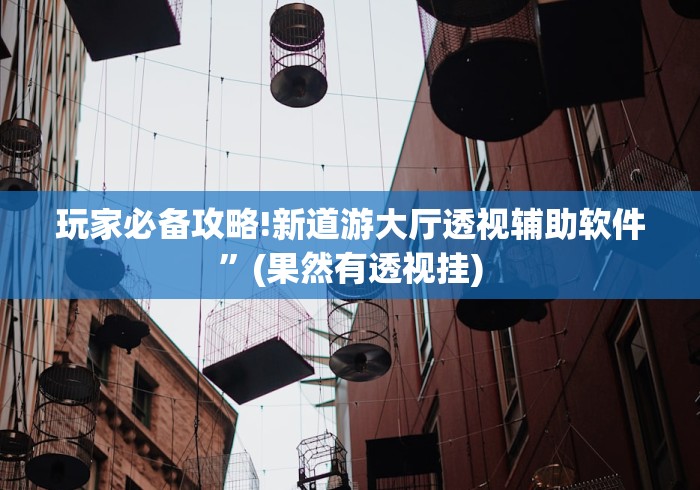 玩家必备攻略!新道游大厅透视辅助软件	”(果然有透视挂)
