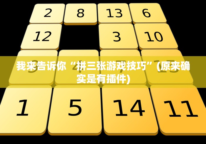我来告诉你“拼三张游戏技巧”(原来确实是有插件)