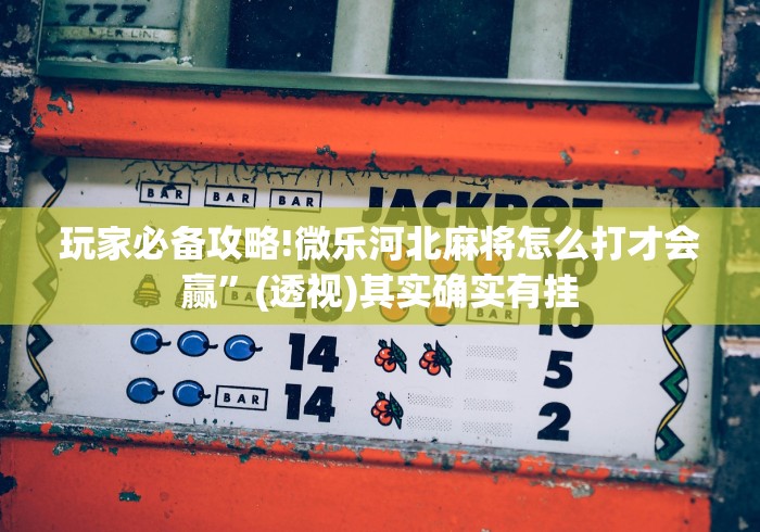 玩家必备攻略!微乐河北麻将怎么打才会赢”(透视)其实确实有挂