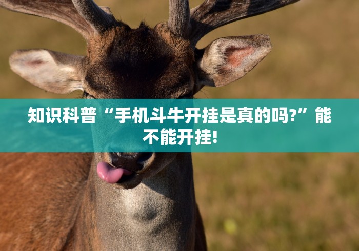 知识科普“手机斗牛开挂是真的吗?”能不能开挂!