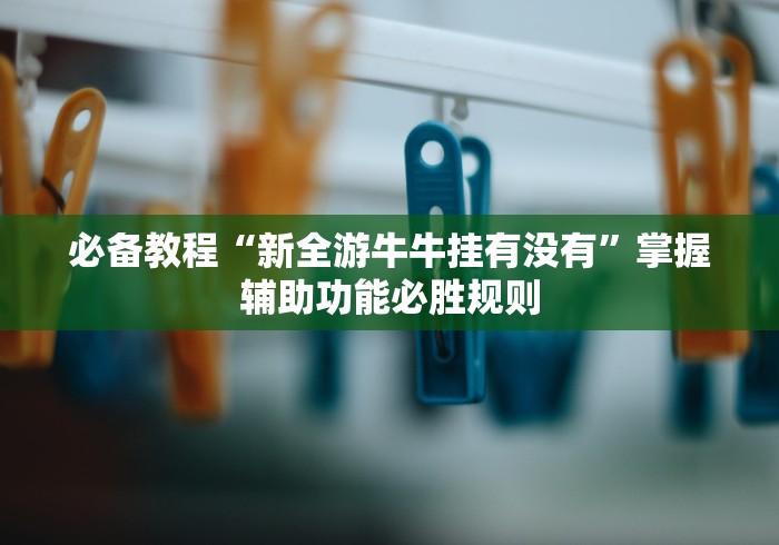 必备教程“新全游牛牛挂有没有	”掌握辅助功能必胜规则