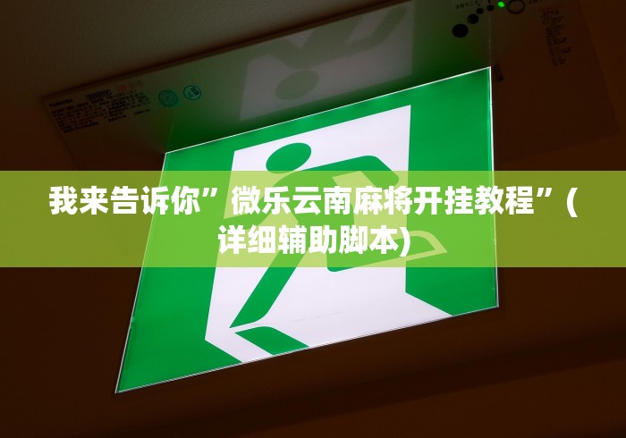 我来告诉你	”微乐云南麻将开挂教程”(详细辅助脚本)