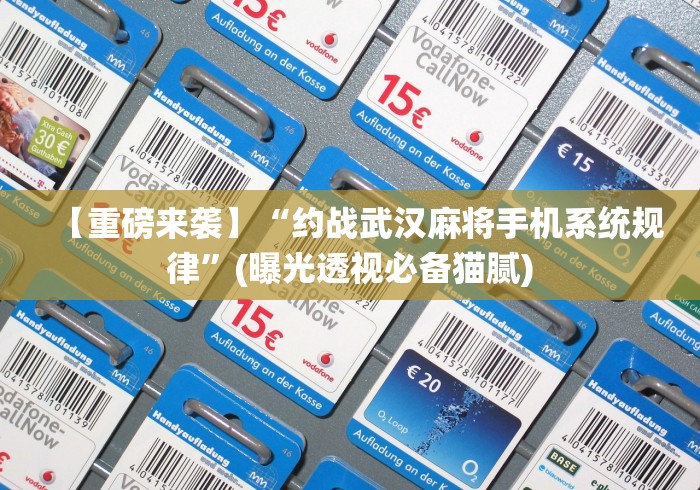 【重磅来袭】“约战武汉麻将手机系统规律	”(曝光透视必备猫腻)