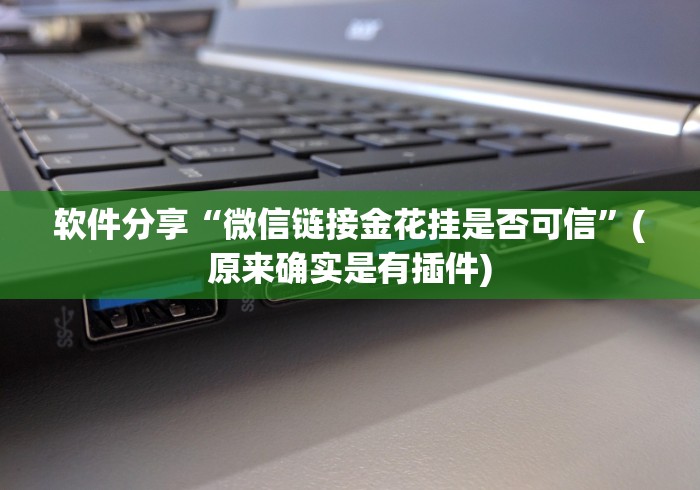 软件分享“微信链接金花挂是否可信	”(原来确实是有插件)