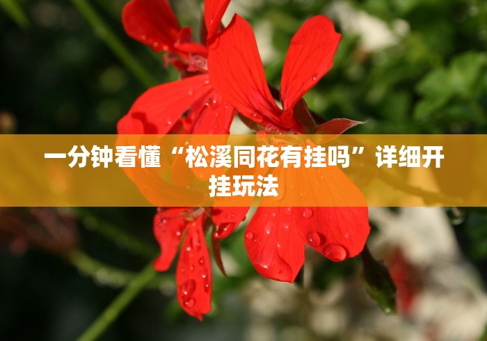 教程开挂辅助:“手机打牌透视开挂神器”辅助神器插件下载