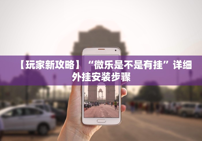 【玩家新攻略】“微乐是不是有挂”详细外挂安装步骤