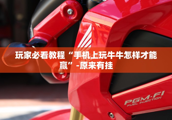 玩家必看教程“手机上玩牛牛怎样才能赢”-原来有挂