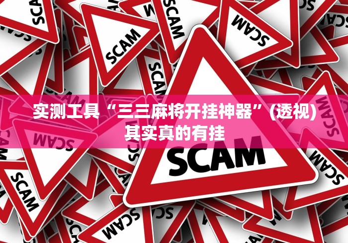 实测工具“三三麻将开挂神器”(透视)其实真的有挂