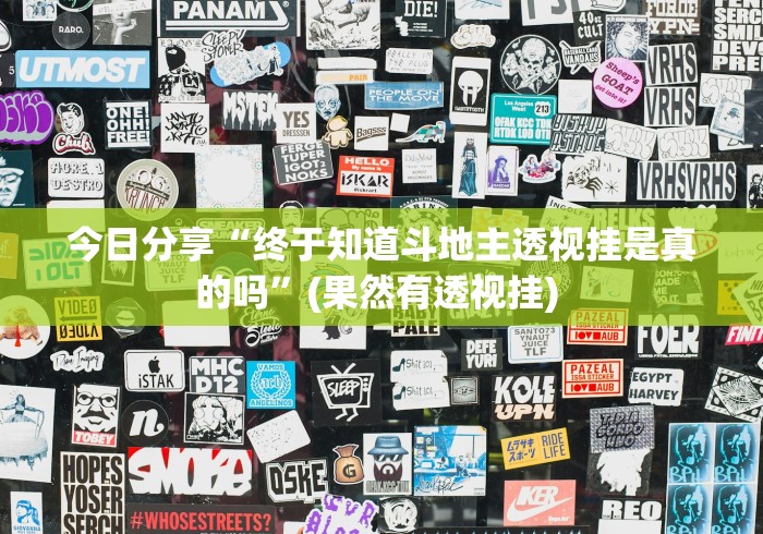 今日分享“终于知道斗地主透视挂是真的吗”(果然有透视挂) 