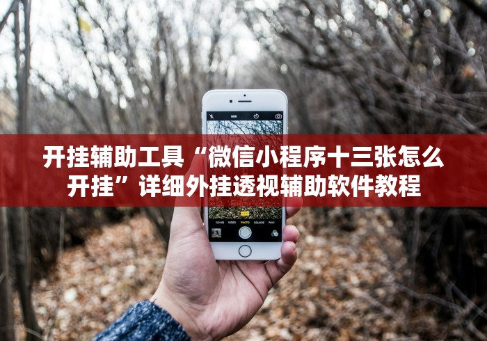 开挂辅助工具“微信小程序十三张怎么开挂”详细外挂透视辅助软件教程