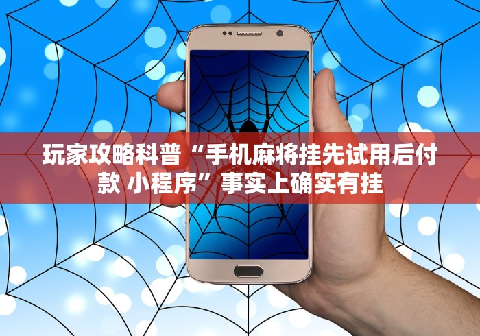 玩家攻略科普“手机麻将挂先试用后付款 小程序”事实上确实有挂