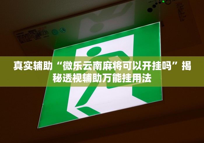 真实辅助“微乐云南麻将可以开挂吗”揭秘透视辅助万能挂用法