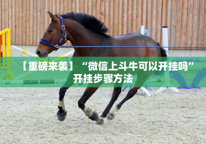 【重磅来袭】“微信上斗牛可以开挂吗	”开挂步骤方法