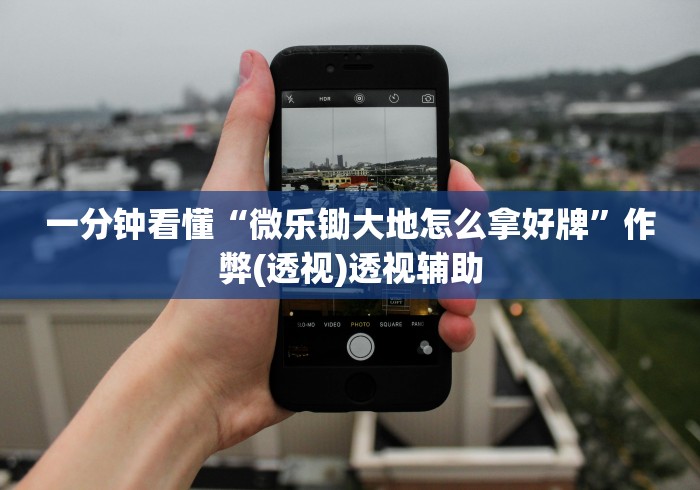 一分钟看懂“微乐锄大地怎么拿好牌”作弊(透视)透视辅助