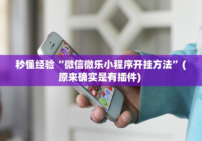秒懂经验“微信微乐小程序开挂方法”(原来确实是有插件) 
