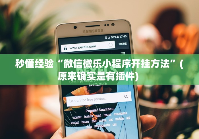 秒懂经验“微信微乐小程序开挂方法”(原来确实是有插件) 