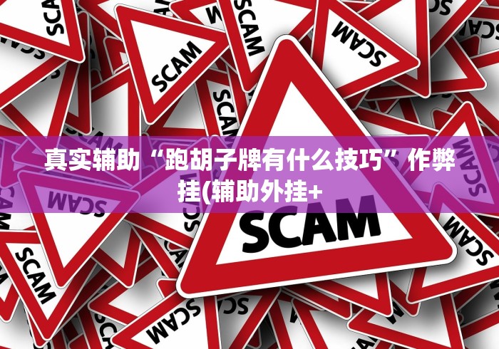 真实辅助“跑胡子牌有什么技巧”作弊挂(辅助外挂+
